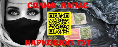 Альфа ПВП Можга